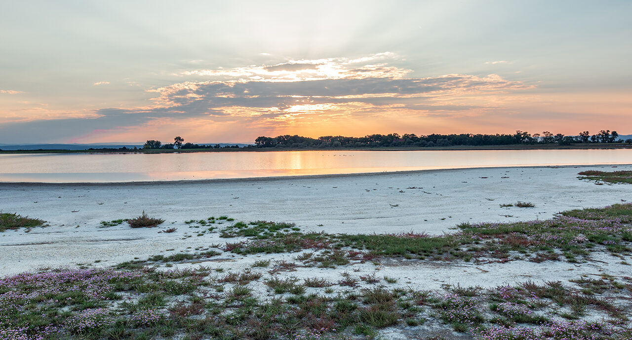 Nationalpark Neusiedler See